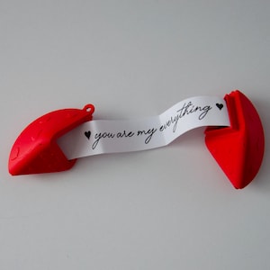 3D gedruckter Fortune Cookie - Geheime Nachricht Geschenk, Valentinstag Überraschung, Benutzerdefinierte Liebe Note, Einzigartige Vorschlag Idee, Ringhalter,Schlüsselanhänger