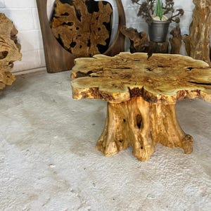 May include: A natural wood coffee table with a large, round, tree-trunk-shaped top and a thick, irregular base. The table is made of light brown wood with a natural, rustic finish.