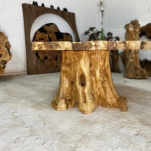 May include: A large, round wooden table with a natural, rustic finish. The table top is made from a single piece of wood with a unique grain pattern. The base of the table is a thick, sturdy tree trunk with a natural bark finish.