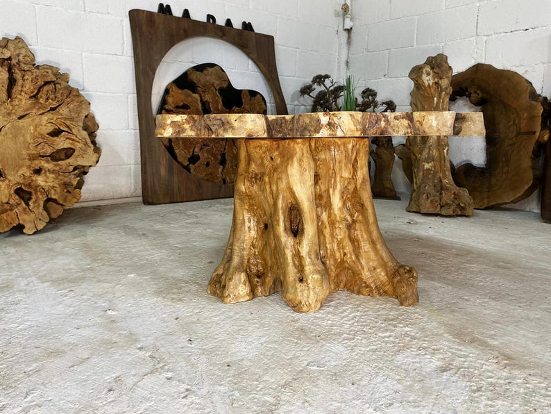 May include: A large, round wooden table with a natural, rustic finish. The table top is made from a single piece of wood with a unique grain pattern. The base of the table is a thick, sturdy tree trunk with a natural bark finish.