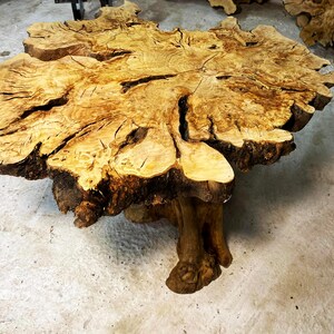 May include: A large, rustic wooden table with a natural, live edge top and a unique, tree-like base. The table is made from a single piece of wood and has a rich, golden brown color.