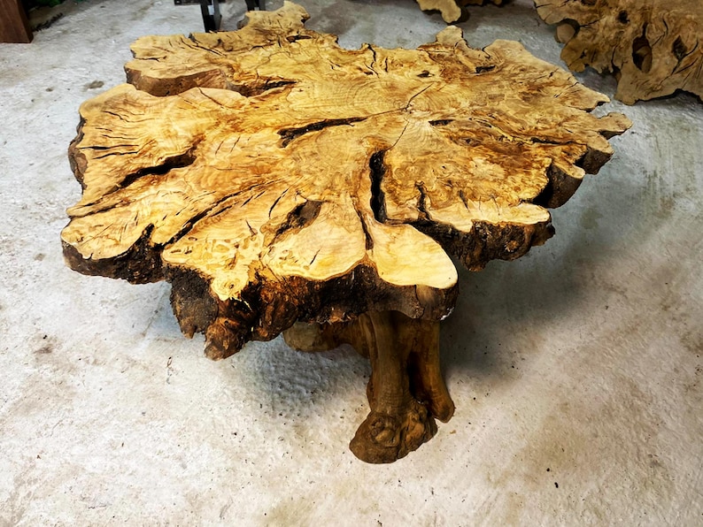 May include: A large, rustic wooden table with a natural, live edge top and a unique, tree-like base. The table is made from a single piece of wood and has a rich, golden brown color.