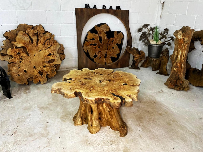 May include: A wooden coffee table with a natural wood finish and a unique, irregular shape. The table top is made from a single piece of wood with a burl pattern. The table legs are also made from wood and have a natural, rustic look.