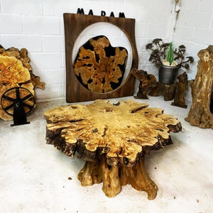 May include: A large, round, wooden coffee table with a natural, burled finish. The table has a thick, irregular base and a smooth, flat top. The table is made from a single piece of wood and has a unique, organic shape.