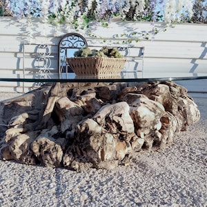 May include: A unique coffee table featuring a thick, clear glass top supported by a large, natural wood base. The base is made of a light brown, textured wood. A woven basket with greenery sits on the table, near a decorative mirror.