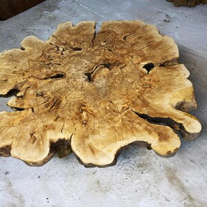May include: A large, round, wooden coffee table with a natural, light brown finish. The table top has a unique, organic shape with a large, central knot and a variety of smaller knots and grain patterns. The table is made from a single piece of wood and has a rustic, natural look.