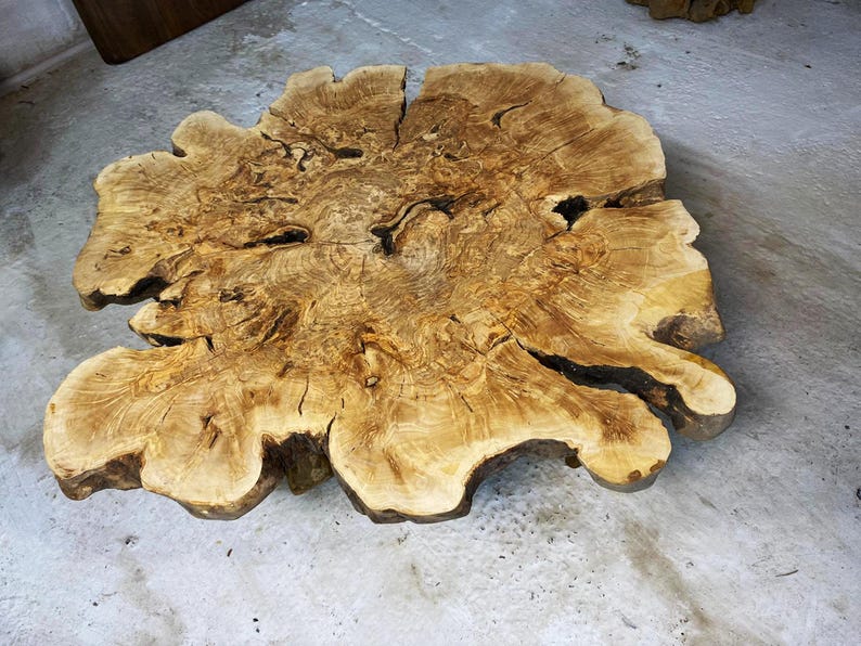 May include: A large, round, wooden coffee table with a natural, light brown finish. The table top has a unique, organic shape with a large, central knot and a variety of smaller knots and grain patterns. The table is made from a single piece of wood and has a rustic, natural look.