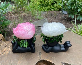 2 Items -Preserved Peony & Moss Arrangement in Original Vase