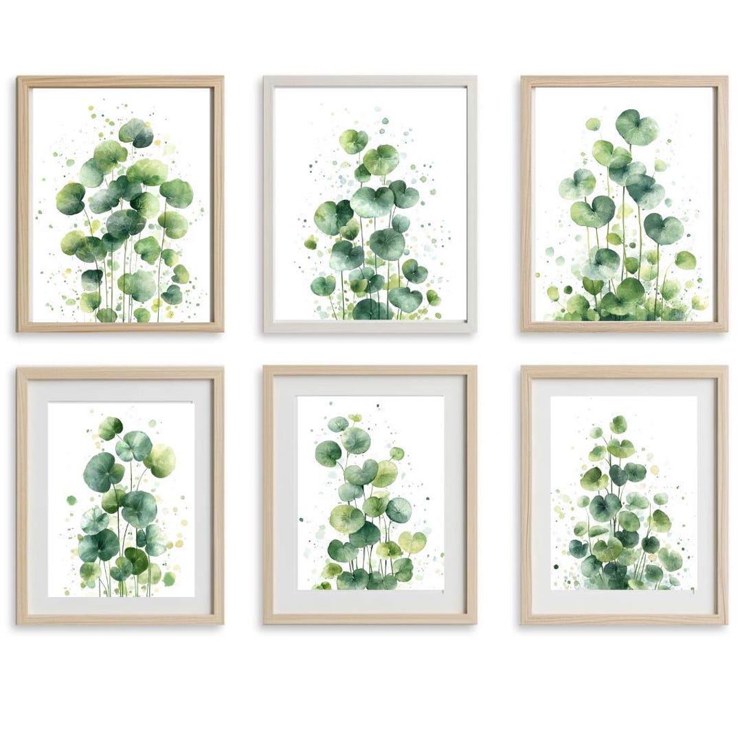 12 Watercolor Money Plant, Pilea Plant Clipart, Minimalistic Art ...