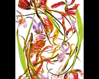 Birthday Flowers // Postcard A6