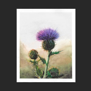 PRINT of Hand Painted Watercolor Painting - Thistle & Buds FREE SHIPPING