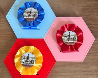 3D Printed Ribbon Display: Wall Mounted Award Rosette Holder