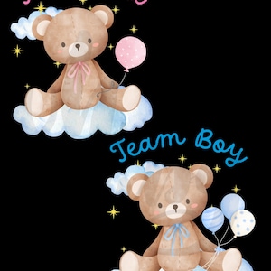 May include: Two brown teddy bears sitting on clouds with balloons. The bear on the left has a pink balloon and the text "Team Girl" above it. The bear on the right has blue balloons and the text "Team Boy" above it.