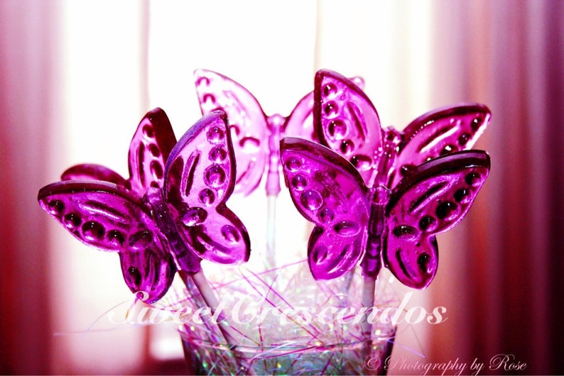 BUTTERFLY Lollipops Hard Candy Favors Perfect for your Garden Party image 1