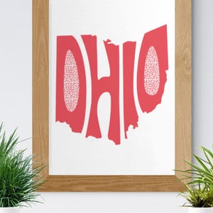 May include: A framed print showing the outline of Ohio in red, with the word "OHIO" in a bold, stylized font. The letters "O" have a leopard print pattern. The frame is made of light brown wood.