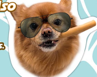 Pet Stix - Custom Stickers of Your Pet! Vinyl, Die Cut, Scratch Resistant, and Waterproof