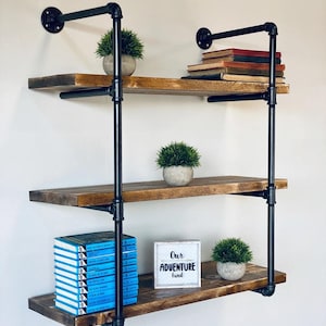 May include: Three-tiered black pipe shelf unit with wooden shelves. The shelves are decorated with potted plants, books, and a small sign that reads "Our Adventure Fund".