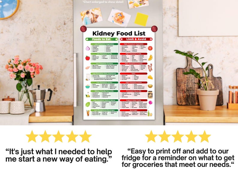 May include: A refrigerator magnet displaying a "Kidney Food List" with "Foods to Eat" and "Limit & Avoid" sections. The list is organized with green and red headers. The image is on a refrigerator with magnets. The background includes a kitchen counter with a plant and flowers.