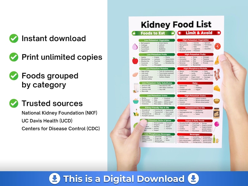 May include: A digital download titled "Kidney Food List" held by hands. The list categorizes foods to eat and foods to limit or avoid. Includes text: "Instant download," "Print unlimited copies," "Foods grouped by category," and "Trusted sources."