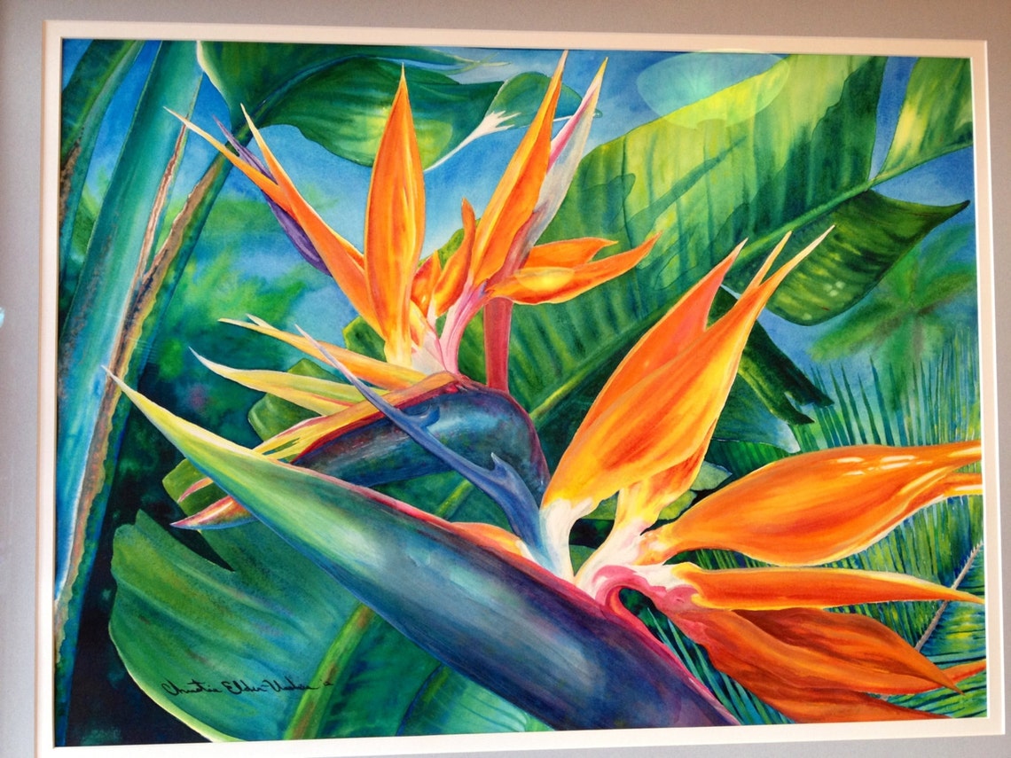 ORIGINAL Large Framed Hawaiian Bird of Paradise Watercolor Art | Etsy