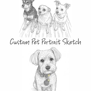 Custom Pet Portrait Sketch, Personalized Dog or Cat Drawing, Hand Drawn Animal Illustration, Digital Pet Memorial Gift