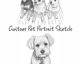 Custom Pet Portrait Sketch Dog and Cat Hand-Drawn Illustration, Digital Pet Memorial Gift