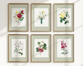 grandmillenial Wandkunst 6er Set Vintage botanische Drucke Cottagecore Dekor, salbeigrüne Wandkunst Bauernhausdekor, Naturkunstblumendrucke