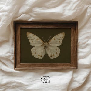 May include: A framed print of a white butterfly with brown markings on a dark green background.