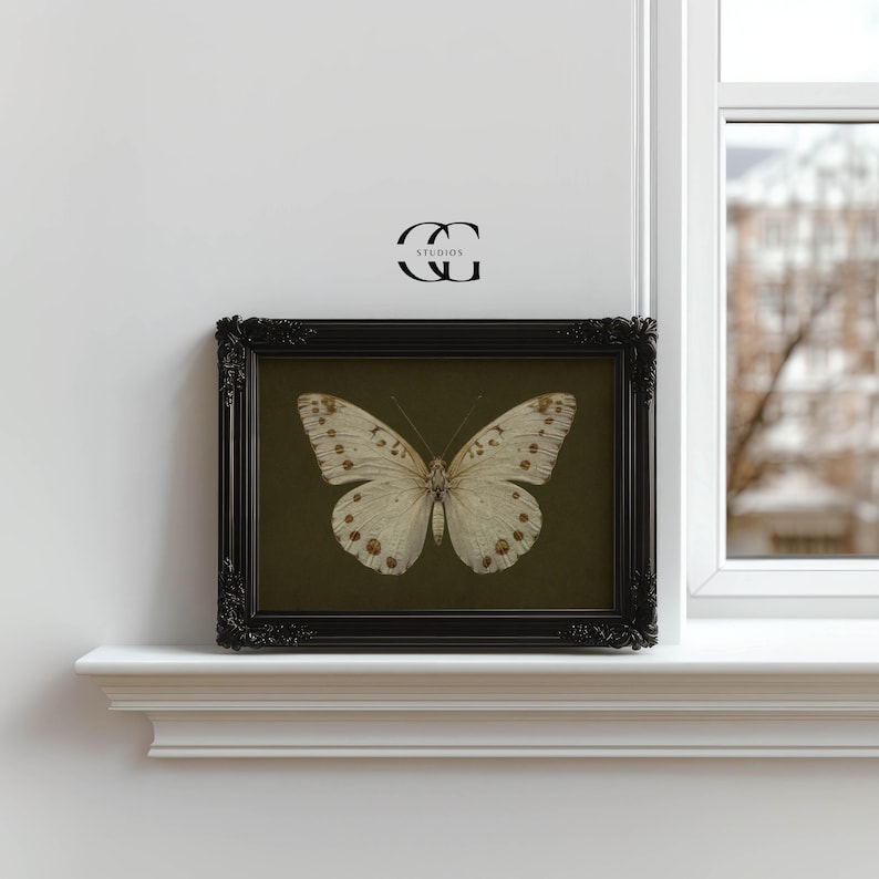 May include: A framed print of a white butterfly with brown markings on a dark green background. The frame is black with a decorative border.
