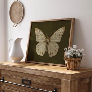 May include: A framed print of a white butterfly with gold markings on a dark green background. The print is in a wooden frame and is sitting on a wooden table.