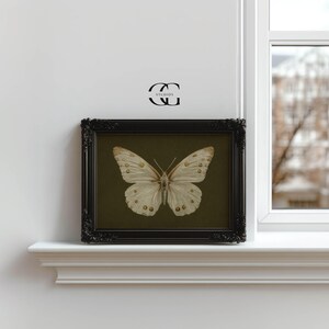 May include: A framed print of a white butterfly with brown markings on a dark green background.