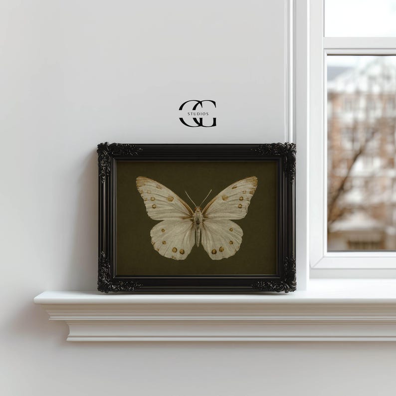 May include: A framed print of a white butterfly with brown markings on a dark green background.