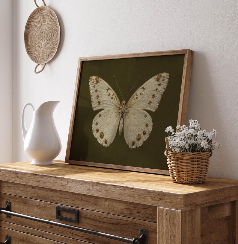 May include: A framed print of a white butterfly with brown markings on a dark green background. The print is displayed on a wooden dresser with a wicker basket of white flowers.