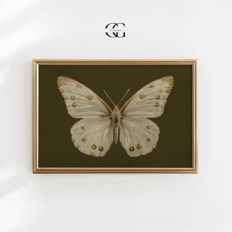 May include: A framed print of a white butterfly with brown markings on a dark green background.