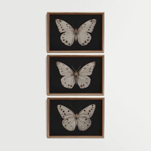 vintage butterfly wall art set of 3 prints dark academia decor, dark cottagecore art gothic home decor, moody art print victorian wall decor