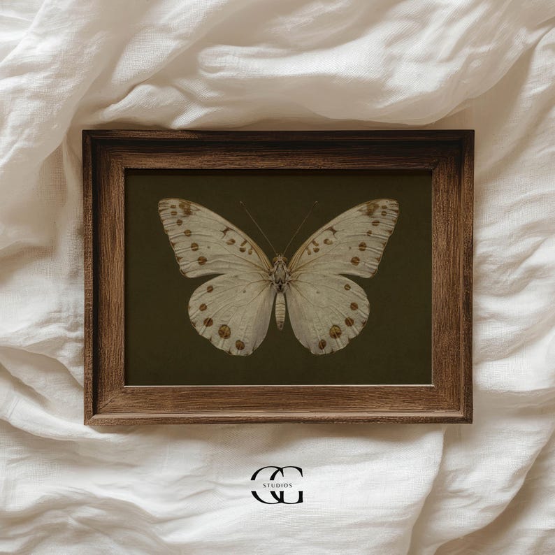 May include: A framed print of a white butterfly with brown spots on a dark green background.