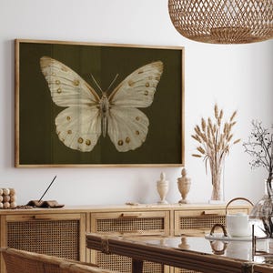 May include: A framed print of a white butterfly with brown markings on a dark green background.