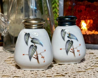 Vintage Thomas Rosenthal Germany #892 Floral Porcelain Salt Pepper Shakers