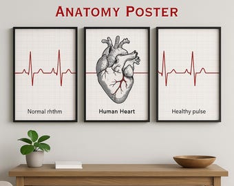 Poster hartanatomie: ECG medische kunstprint (digitale download 18 x 24", 24 x 36")