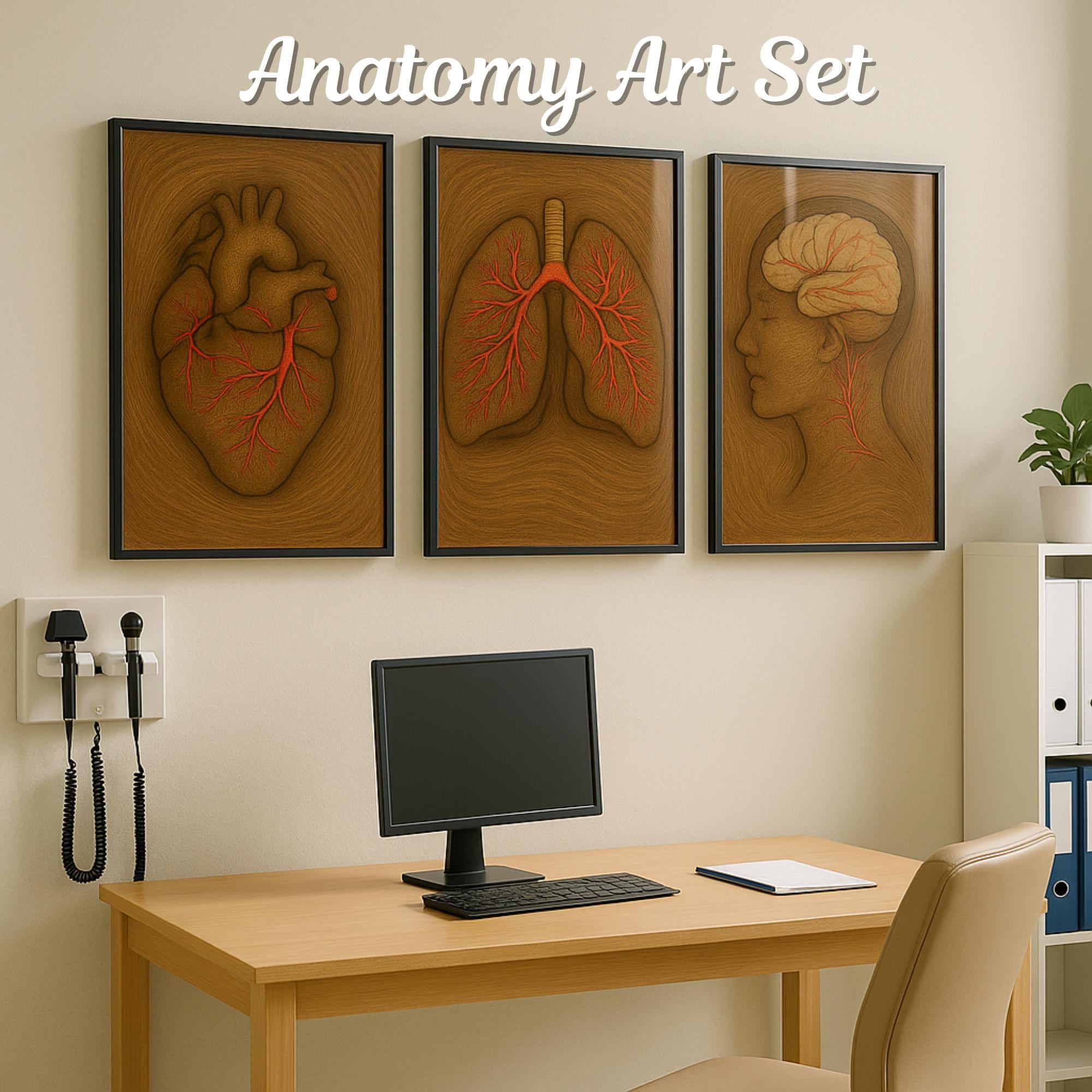 Heart, Lungs & Brain – Anatomical Wood Relief Poster Set
Elevate your...