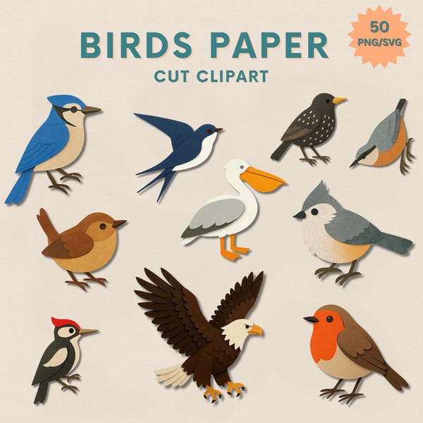 Songbirds, Raptors & Exotic Species | Instant Digital Download