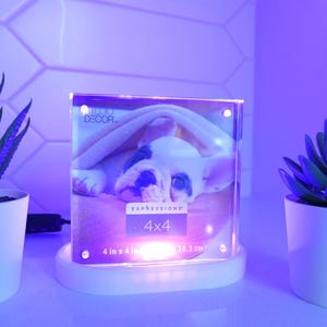 May include: A 4x4 inch photo frame with a picture of a sleeping dog, illuminated by a soft light. The frame is on a white base, flanked by two small potted succulents. The image is set against a white, textured wall.