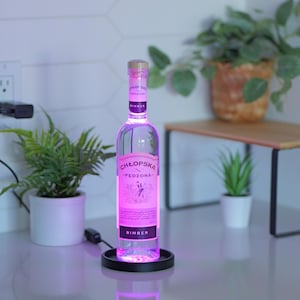 May include: A clear glass bottle with a pink label and a wooden stopper is illuminated with pink light. The bottle sits on a black base. The text on the label reads "CHLOPSKA - PEZDRONA - RIMBER".