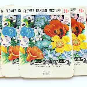 May include: A stack of vintage seed packets for a flower garden mixture. The packets feature colorful illustrations of flowers, including poppies, bluebells, and daisies. The text on the packets reads "Lone Star Seed Co. San Antonio, Texas. "Every Seed A Plant." No. 2255"