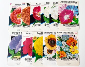 Bundle of vintage floral seed packets