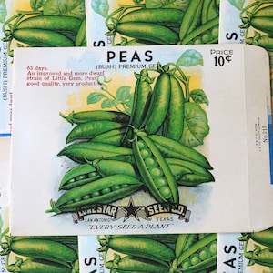 Könnte beinhalten: Eine Vintage-Saatgutpackung für Erbsen. Die Packung ist weiß mit grünem und rotem Text. Sie zeigt eine Nahaufnahme eines Bündels grüner Erbsen mit dem Text "PEAS (BUSH) PREMIUM GEM" und "EVERY SEED A PLANT".