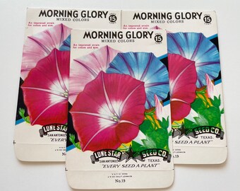 Vintage Seed Envelopes for Morning Glory - empty packets