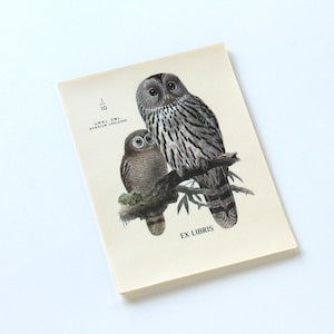 Vintage Bookplates - Audubon Ural Owl Illustration Ex Libris Labels