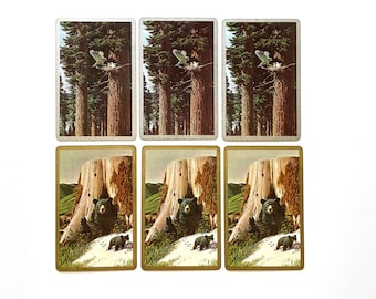 Vintage Forest Playing Cards