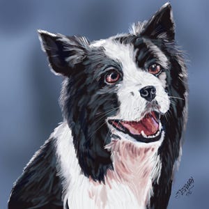 Border collie digital painting